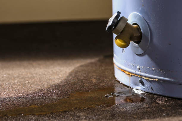 Best Residential water damage restoration  in Del Rio, CA