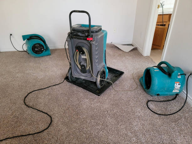 Best Sewage cleanup and water damage restoration  in Del Rio, CA
