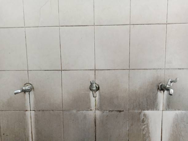Best Residential water damage restoration  in Del Rio, CA