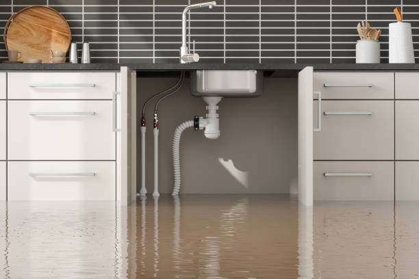 Best 24/7 water damage repair  in Del Rio, CA